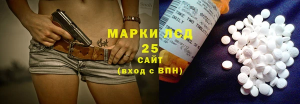 ПСИЛОЦИБИНОВЫЕ ГРИБЫ Баксан