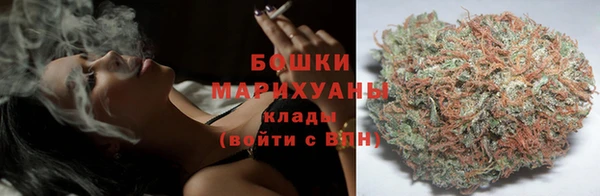 ПСИЛОЦИБИНОВЫЕ ГРИБЫ Баксан