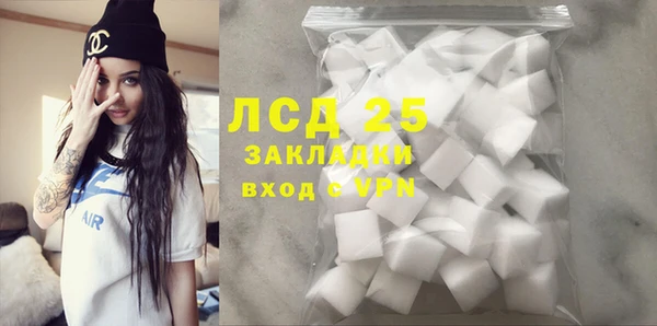 ПСИЛОЦИБИНОВЫЕ ГРИБЫ Баксан
