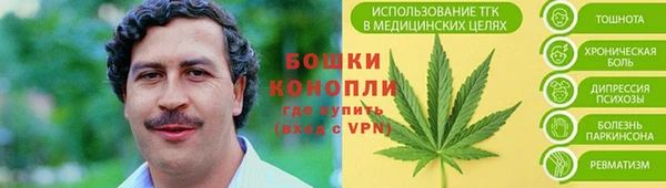 шишки Балабаново