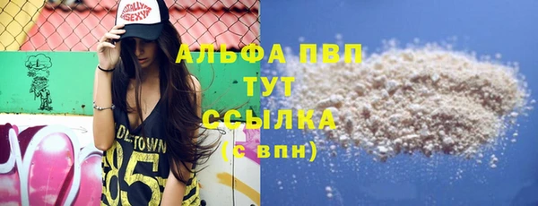 ПСИЛОЦИБИНОВЫЕ ГРИБЫ Баксан