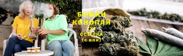 ПСИЛОЦИБИНОВЫЕ ГРИБЫ Баксан