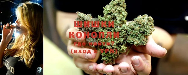 ПСИЛОЦИБИНОВЫЕ ГРИБЫ Баксан